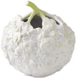 Royal Copenhagen The Art Of Giving Flowers Hortensiavase