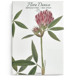 Södahl SÖDAHL FLORA DANICA SENGETØJ PÅ 140 X 200 CM MED KLØVER 6 Södahl SÖDAHL FLORA DANICA SENGETØJ PÅ 140 X 200 CM MED KLØVER -Billi Bi butik hoslange floradanica klover aeske