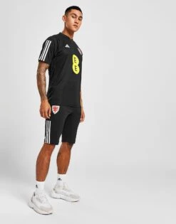 Adidas Wales Tiro 23 1/2 Pants