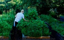 The Relation Between Us -Billi Bi butik new mags bog the relation between us bo bech 7114097